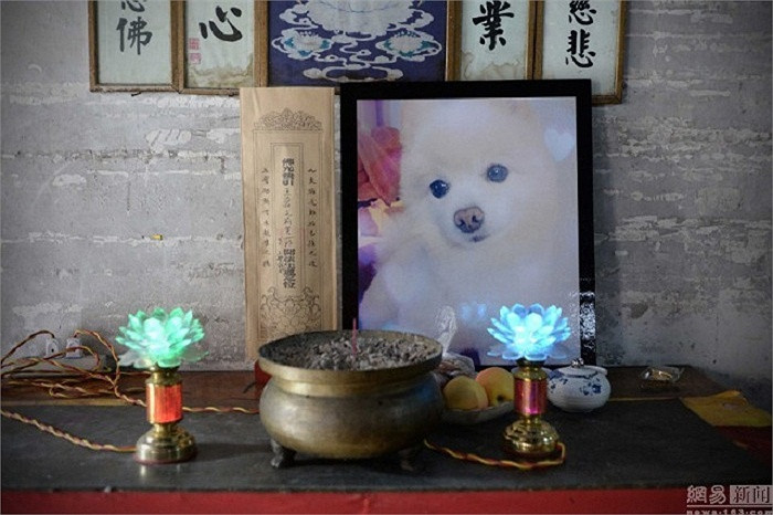 Thậm chí còn có di ảnh.