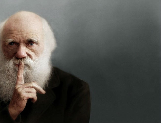 Nhà bác học Charles Robert Darwin, cha đẻ của thuyết tiến hóa. Ảnh: Wikipedia