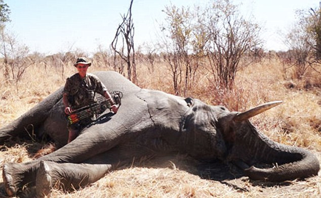 Theo trang web Alaska Bow Hunting, đây là con voi Châu Phi thứ 6 bị Seski bắn chết.