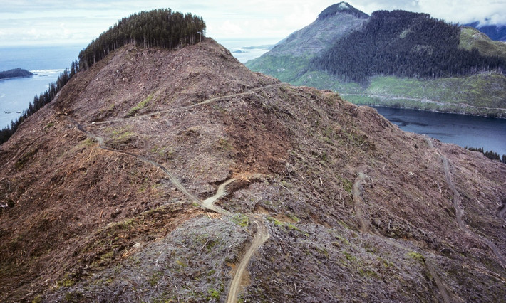 Cảnh tượng hoang tàn của vùng núi ở British Columbia: Trước đây, khiu vực này từng được gọi là "Brazil của Bắc Mỹ", nhưng việc khai thác gỗ thái quá ở Vancouver, Canada, đã biến những cánh nguyên sinh thành đồi trọc.