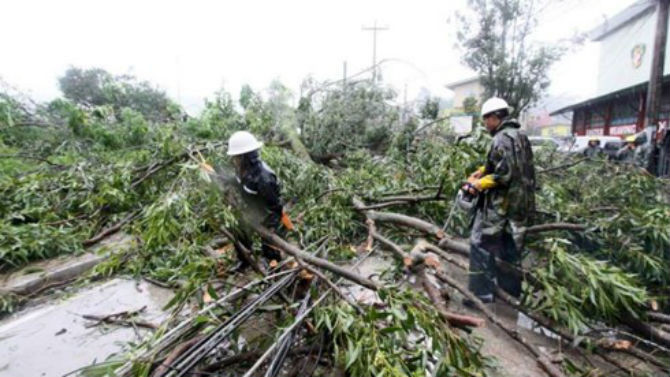 Công nhân dọn dẹp cây đổ trên đường sau khi bão Goni đổ bộ vào thành phố Baguio ở miền bắc Philippines. (Ảnh REUTERS).