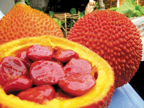 Cùi quả gấc chín lượng vừa đủ, dằm nhuyễn, thêm vài giọt nước cốt chanh. Rửa sạch mặt, bôi hỗn hợp đó lên mặt, để khoảng 30 phút, sau đó rửa lại bằng nước sạch. Tác dụng dưỡng da, trị mụn trứng cá rất tốt.