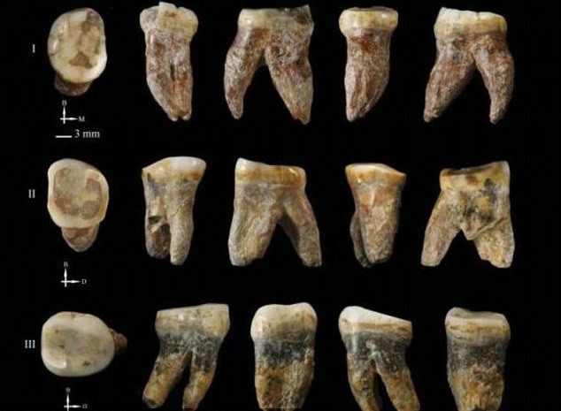 Ví dụ như Homo floresiensis, tức "người Hobbit", từng sống trên đảo Flores thuộc Indonesia ngày nay, được cho là tuyệt chủng vài chục triệu năm trước.