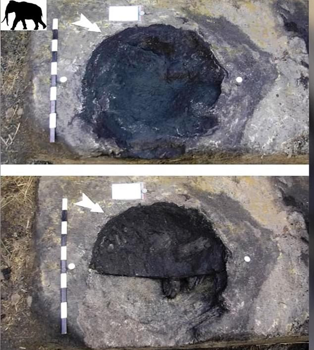Đây là bằng chứng về dấu chân đầu tiên của H. heidelbergensis ở Đức và là ghi nhận thứ tư về dấu chân của loài người này trên toàn thế giới. Flavio Altamura, nhà khảo cổ học tại Đại học Tübingen, Đức và là tác giả chính của nghiên cứu cho biết trong khi một dấu chân rõ ràng thuộc về một người trưởng thành thì những dấu chân khác nhỏ hơn nhiều.