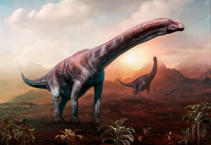 Trong khi đó, loài khủng long dài nhất được ghi nhận có khả năng là Supersaurus, sống cách đây khoảng 150 triệu năm ở khu vực ngày nay là miền Tây nước Mỹ và có khả năng vượt quá 39 mét.