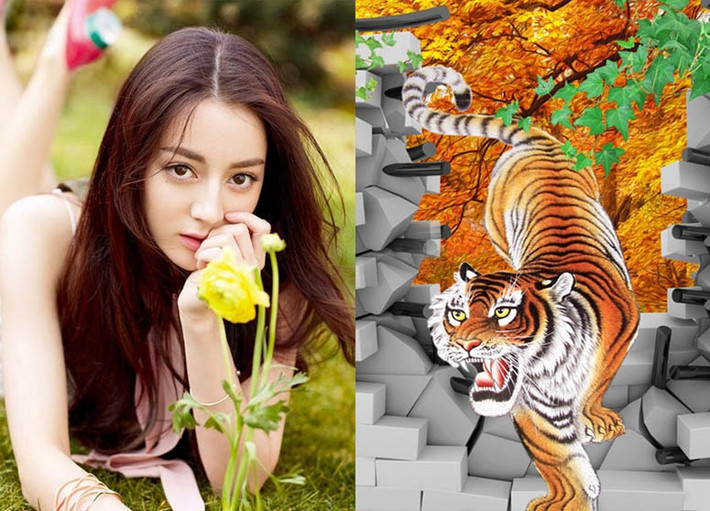 Người tuổi Dần ương ngạnh mà đầy tự tin, dù gặp khó khăn trở ngại bao nhiêu, họ cũng sẽ vươn lên, sẵn sàng vượt qua thử thách.