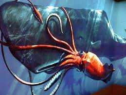 Ví dụ, mực khổng lồ (Mesonychoteuthis hamiltoni) ở vùng biển cận Nam Cực dài gấp khoảng 14 lần mực mũi tên (Nototodarus sloanii) ở New Zealand.