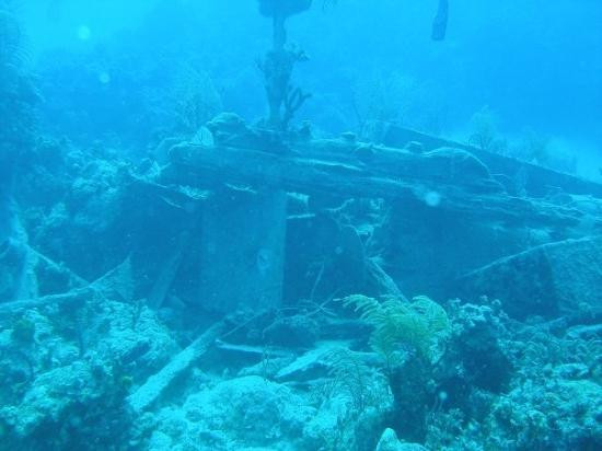 Tiến sĩ Sean Kingsley, nhà khảo cổ học hải dương người Anh kiêm biên tập tạp chí Wreckwatch, cho biết những phát hiện đặc biệt đáng chú ý do nằm dưới lớp cát lèn chặt ở đáy biển.