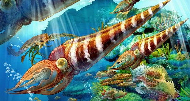 Theo nhà cổ sinh học McLaren, một thiên thạch có đường kính lớn đã va chạm với Trái đất, gây nên những đợt sóng thần, tàn phá hệ sinh thái bờ biển, đồng thời gây xáo trộn các tầng biển sâu.