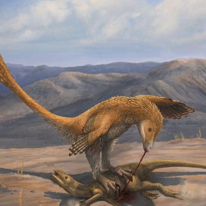 2. Deinonychus. Khác với những loài khủng long khác vốn dựa vào bộ hàm sắc nhọn, giống như cái tên của mình, Deinonychus lại thích tận dụng bộ móng vuốt của nó hơn.
