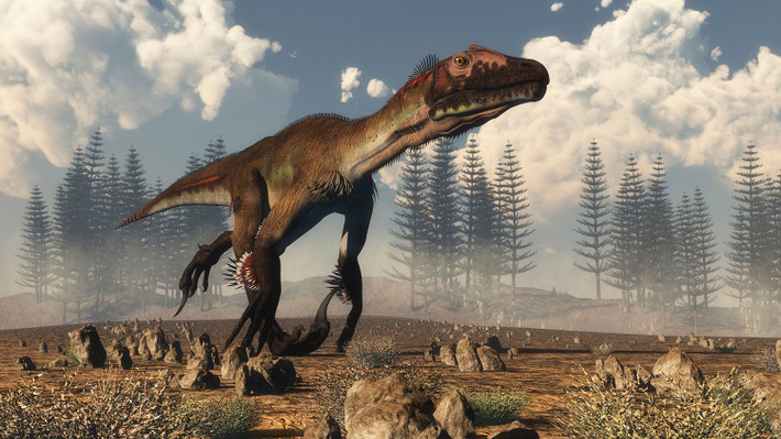 3. Utahraptor. Đây loài khủng long được xem là một trong những kẻ săn mồi lớn nhất khi còn sống. Utahraptor sống vào hậu của Kỷ Phấn Trắng, cách đây khoảng 125 triệu năm, còn được gọi là kẻ săn mồi của Utah (Một địa danh của Bắc Mĩ). Tên của nó được đặt dựa trên tên tiểu bang mà nó được phát hiện lần đầu tiên vào năm 1991.