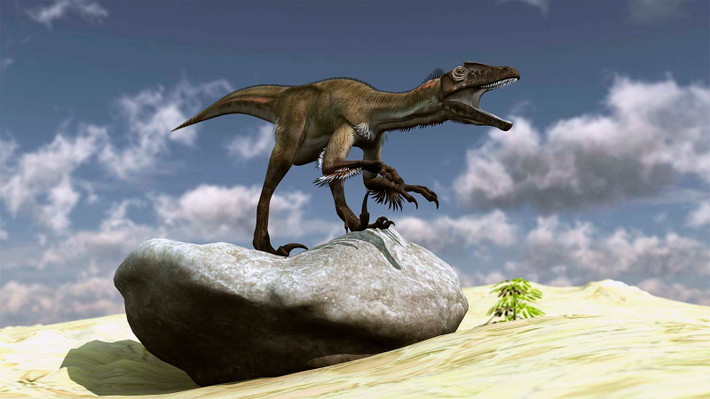 Utahraptor nặng tới gần 300kg với chiều dài lên tới 7m. Utahraptor cũng là một trong những loài dromaeosaur sớm nhất. Thiết kế khung xương của nó là giống chim; với xương đã rỗng, nhưng mạnh mẽ. Hàm có cấu tạo bất thường nhất, với mặt trước của hàm dưới cong về phía trước.