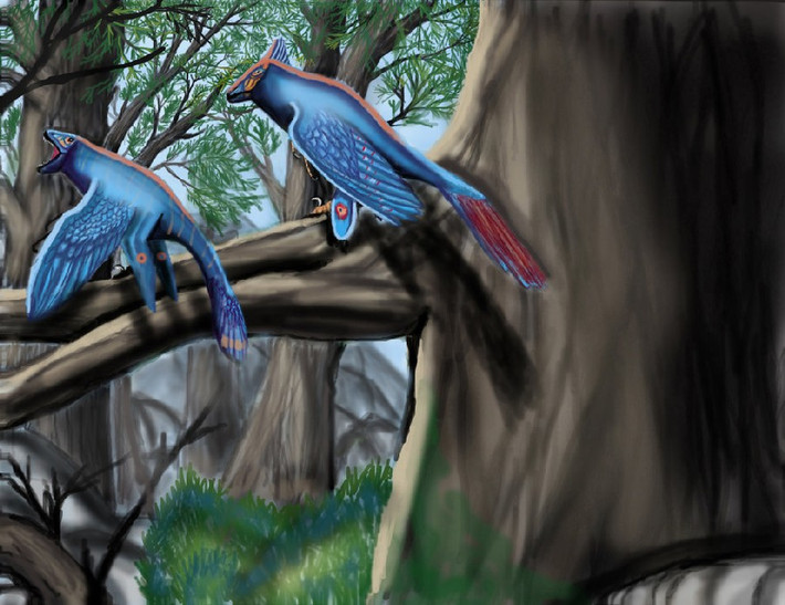 Đặc biệt, chúng có móng vuốt hình liềm nhô lên ở ngón thứ hai giống với loài Velociraptor nổi tiếng. Tuy nhiên hiện vẫn chưa rõ chúng thuộc chi Avialae hay Dromaeosauridae. Rahonavis có thể là họ hàng gần với Archaeopteryx, theo như đề xuất ban đầu của các nhà mô tả, và do đó chúng là một thành viên của chi Avialae.