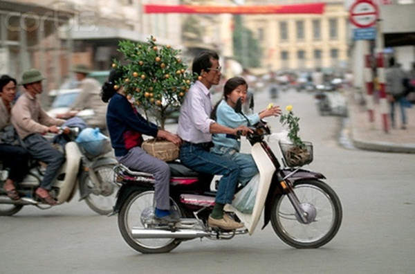 Người bố đèo vợ và con gái đi sắm cây quất ngày Tết.