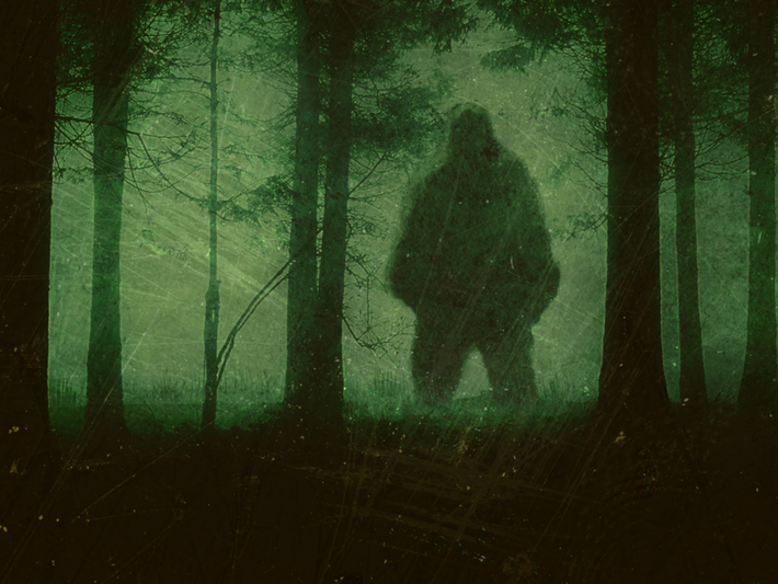 Bằng chứng khoa học về sự tồn tại của Bigfoot ngày nay có thể khó tìm thấy, nhưng thực tế đã có một loài vượn đi bằng hai chân khổng lồ trên Trái đất. Đó là một loài có tên Gigantopithecus blacki cao khoảng 3 m, nặng tới 270 kg. Tuy nhiên, Gigantopithecus sống ở Đông Nam Á chứ không phải Bắc Mỹ và đã tuyệt chủng hàng trăm nghìn năm trước.