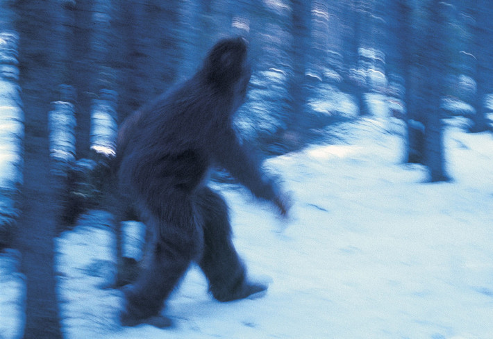 Nhiều người lợi dụng nhiễu loạn thông tin về Bigfoot để làm phức tạp thêm vấn đề về sự thật của Sasquatch. Hàng chục người đã thừa nhận việc làm giả các bản in, ảnh của Bigfoot và gần như mọi loại bằng chứng khác về Bigfoot.