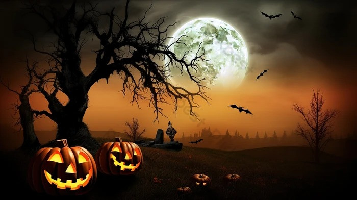 4. Một người dân địa phương ở Frederica, Delaware thấy một thi thể treo trên cây trong Halloween vào năm 2005 và nghĩ đây chỉ là một vật để trang trí. Nhưng đây thực sự là xác của một người phụ nữ 42 tuổi. Cô đã bị treo trên cây trong 3 tiếng trước khi người dân nhận ra đó là một xác người thực sự.