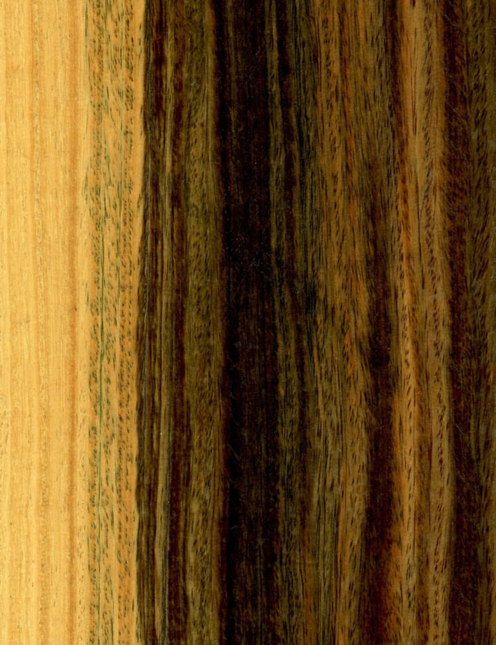 8. Gỗ Lignum Vitae. Gỗ Lignum Vitae là một trong các loại gỗ quý nhất thế giới có màu sắc rất đặc biệt. Màu gỗ sẽ từ màu nâu của màu ô liu đến màu nâu xanh đậm đến gần như đen, đôi khi có màu đỏ. Màu sắc có xu hướng tối dần theo tuổi, đặc biệt là khi tiếp xúc với ánh sáng. Ngoài ra, chúng cũng được coi là loại gỗ nặng nhất và cứng nhất trên thế giới.