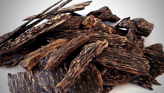 7. Gỗ trầm hương. Trong danh sách 10 loại gỗ đắt nhất thế giới thì không thể thiếu được gỗ trầm hương. Đây là loại cây gỗ thuộc họ Trầm còn được gọi với nhiều tên gọi khác như cây kỳ nam, cây trầm, cây dó trầm…Gỗ trầm hương nổi tiếng với mùi thơm đặc trưng và được sử dụng nhiều để chế tác các món đồ trang sức, nhang trầm, tượng gỗ trong phong thủy.