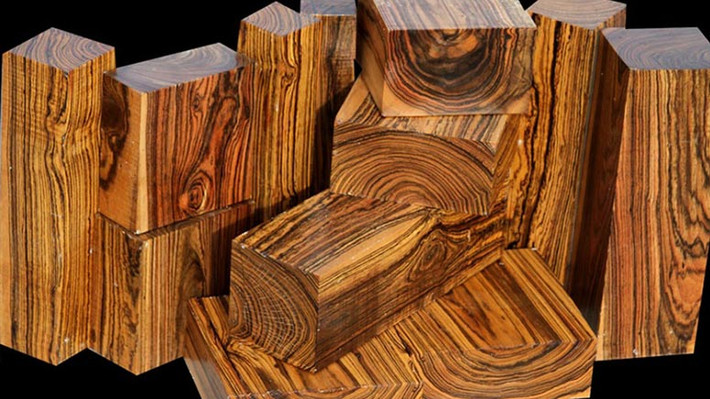 Do đặc tính gỗ Bocote có nhiều vân đẹp và bền nên được rất nhiều người ưa chuộng và tin dùng. Đặc biệt vân gỗ của chúng như một sự tương phản giống như màu sắc của ngựa vằn nên các sản phẩm được gia công bao giờ cũng trông rất bắt mắt và đặc biệt. Và tất nhiên giá gỗ đắt nhất thế giới cũng thuộc về loại gỗ tự nhiên này.