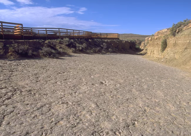 Tiếp đến là địa điểm theo dõi khủng long Red Gulch nằm ở tiểu bang Wyoming. Địa điểm này được phát hiện vào năm 1997 ở sa mạc cao phía bắc Wyoming. Với các dấu chân có niên đại khoảng 167 triệu năm trước, đây là một trong những địa điểm quan trọng nhất từ kỷ Jura giữa.