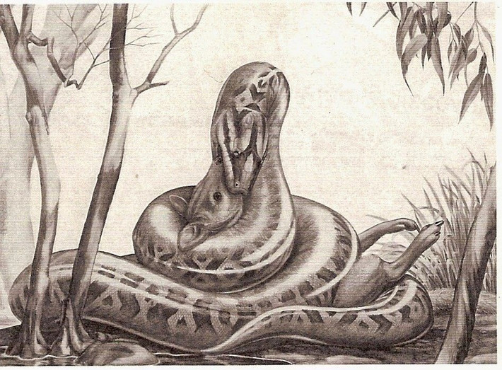 3. Gigantophis garstini (10m). Gigantophis garstini là một loài quái vật khổng lồ sống khoảng 40 triệu năm trước ước tính dài từ 7 - 10 m. Loài vật siết mồi này được phát hiện ở Ai Cập năm 1901, có thể cuộn quanh con mồi lớn như tổ tiên loài voi và nuốt chửng toàn bộ. Giới khoa học phát hiện Gigantophis có họ với một loài khổng lồ đã tuyệt chủng khác là Madtsoia ở Ấn Độ, chứng tỏ loài rắn khổng lồ từng phân bố rộng khắp châu Á.