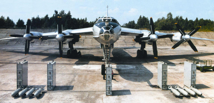 Theo tham số của nhà sản xuất, Tu-142 có thể mang các loại ngư lôi chống ngầm 400mm AT-1/1M, AT-2/2M, UMGT-1; bom chống ngầm PLAB-50, PLAB-250; thủy lôi RM-1/2 và UDM. Ngoài ra, nó còn phải mang các hệ thống phao thủy âm để tìm kiếm tàu ngầm.