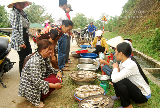 Cá mòi tươi, nướng được bán nhiều ở cả các chợ, nhưng tươi ngon nhất vẫn là ở các bến sông gần làng vạn chài./.