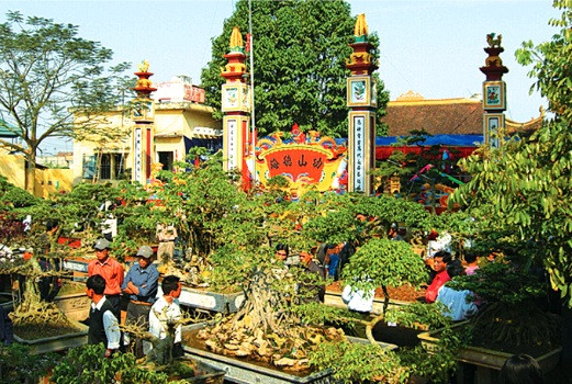 Tháng giêng âm lịch hàng năm ở đây thường diễn ra những lễ hội, triển lãm cây cảnh tại đình làng để tri ân, giỗ tổ nghề thu hút hàng trăm lượt người đến xem mỗi ngày. Đây cũng là dịp để các nghệ nhân cây cảnh ở đây giới thiệu đến người xem những siêu phẩm độc nhất của mình. Ảnh: Du lịch Nam Định.