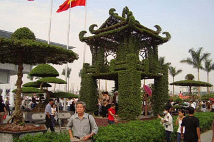 Vị Khê có đa dạng các loài cây cảnh như: đa, sung, lộc vừng, sanh, si, cau Vua, vạn tuế, tùng La Hán... với nhiều thế cây phong phú như: long thăng, long giáng, hạc lập, trực siêu, thế huyền, thế song phục, huynh đệ, mẫu tử tương thân, phụ tử tương tùy... Ảnh: Du lịch Nam Định.