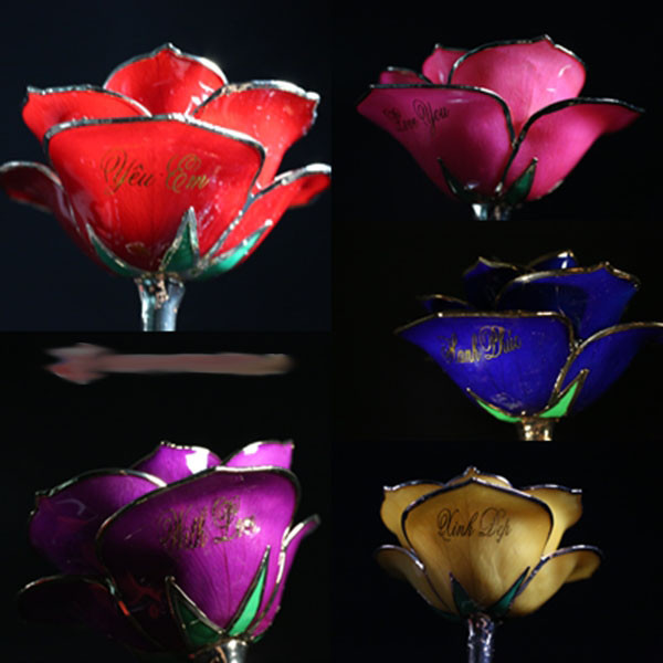 Ngoài những món quà truyền thống như hoa tươi, socola, thị trường quà Valentine năm 2017 khá sôi động với nhiều mặt hàng độc lạ, bắt mắt. Hoa hồng sơn mài dát viền vàng được nhúng vào sơn mài đỏ và được tỉa tỉ mỉ bằng vàng 24K là một trong số đó.