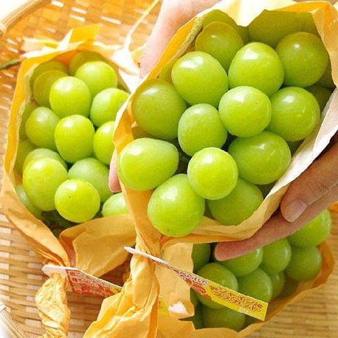 Nho mẫu đơn là loại quả Nhật đắt đỏ nhất tại Việt Nam. Loại trái cây cao cấp này quả đều tăm tắp, giòn ngọt, vị thơm nồng nhờ được trồng bằng kỹ thuật khắt khe.