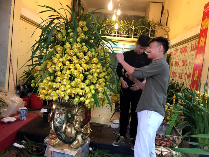 Chậu địa lan giá 20 triệu đang được người bán tỉa tót tỉ mỉ trước khi giao cho khách hàng.