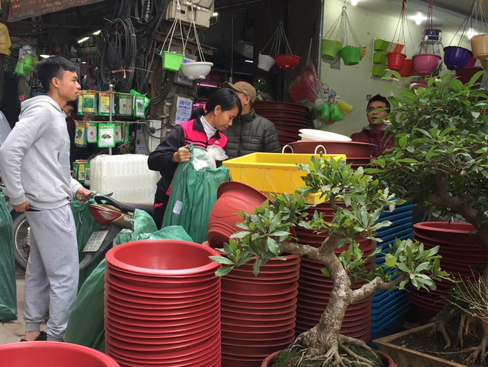 Khung cảnh bận rộn báo hiệu một vụ mùa bán hàng bội thu.