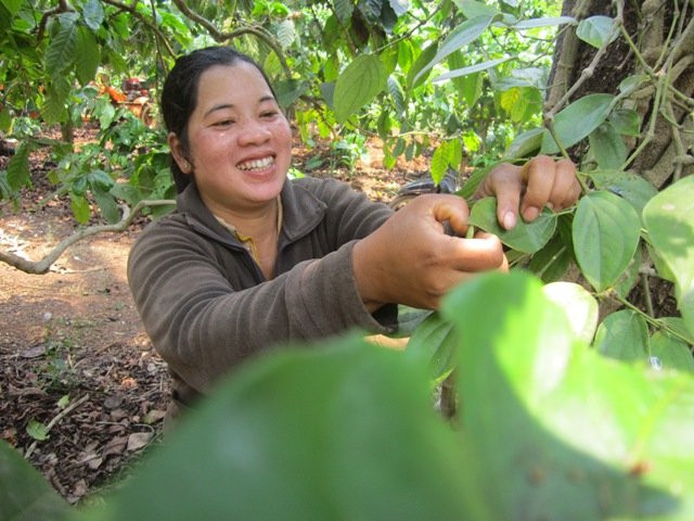 Nếu không sợ, bằng tay không người dân có thể bắt được sâu. Ảnh: Nguoitieudung.