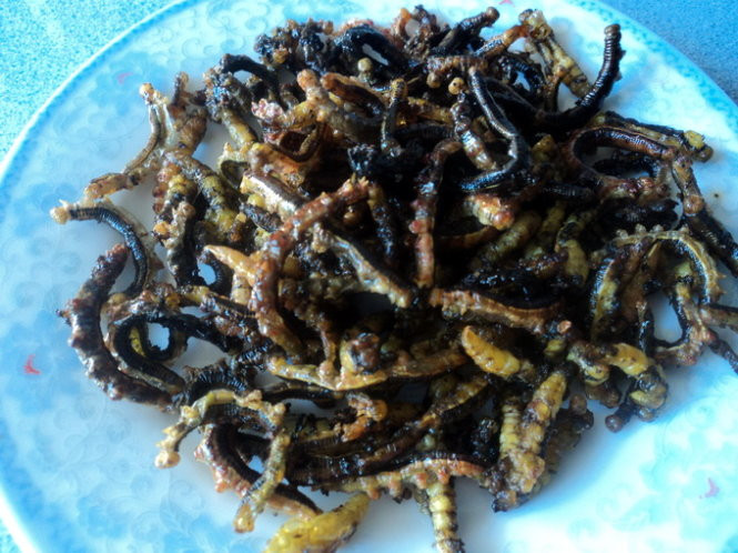Cận cảnh đặc sản sâu muồng chiên nguyên con. Ảnh: Nguoitieudung.