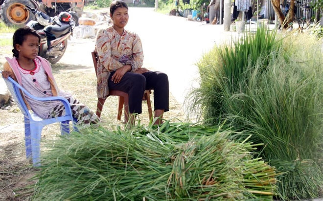 Chợ cũng không có các quầy, sạp bày bán. Thay vào đó, cỏ được chất đống hai bên bờ kênh để người mua thoải mái lựa chọn. (Ảnh Imageshack)
