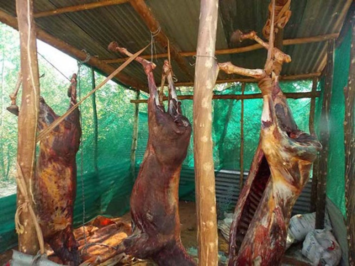 Do lượng cung không đủ cầu nên dù giá một con lừa khỏe mạnh có tăng gấp đôi, thương lái vẫn sẵn sàng thu mua. (Ảnh Wp).