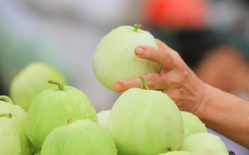 Cuối tháng 4, đầu tháng 5 là thời điểm dưa lê bắt đầu vào mùa. Dưa lê có rất nhiều công dụng lại mát và rẻ nên rất được lòng chị em công sở trong những ngày nắng nóng. Ảnh: Vietq.