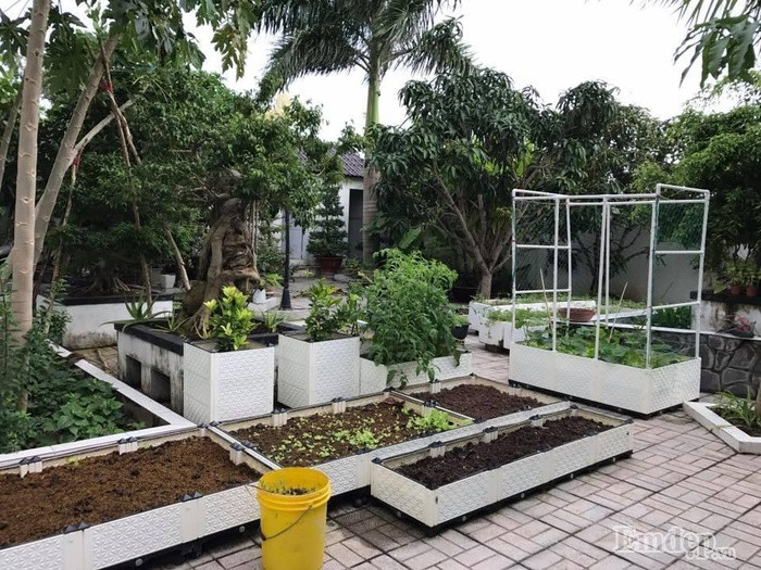 Chị dành một phần diện tích nhiều nắng để trồng rau.