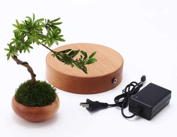 Phần dưới là một bộ phận năng lượng, ở đế có khe cắm điện ở phía dưới đáy. Phần trên được gọi là bóng nổi gọi là "Little Star". Cả hai bộ phận đều được gắn nam châm, lợi dụng từ trường của hai cực đối nghịch nhau của nam châm mà "Little Star" có thể nổi và chứa những cây bonsai lơ lửng. Ảnh: Zing.