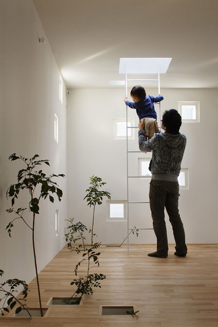 Đồng thời, những ô cửa sổ này còn tạo ra sự thông thoáng, giúp kết nối liên lạc giữa các thành viên trong gia đình tạo chỗ cho cây xanh phát triển. (Ảnh Luxuryliving)