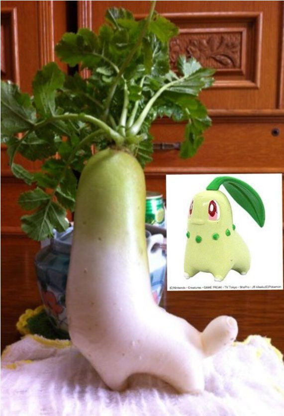 Củ cải hình Pikachu dễ thương. Ảnh: giaitri.