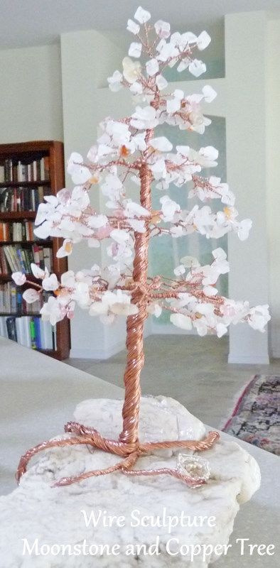 Cây bonsai hoa anh đào Nhật Bản từ đá.