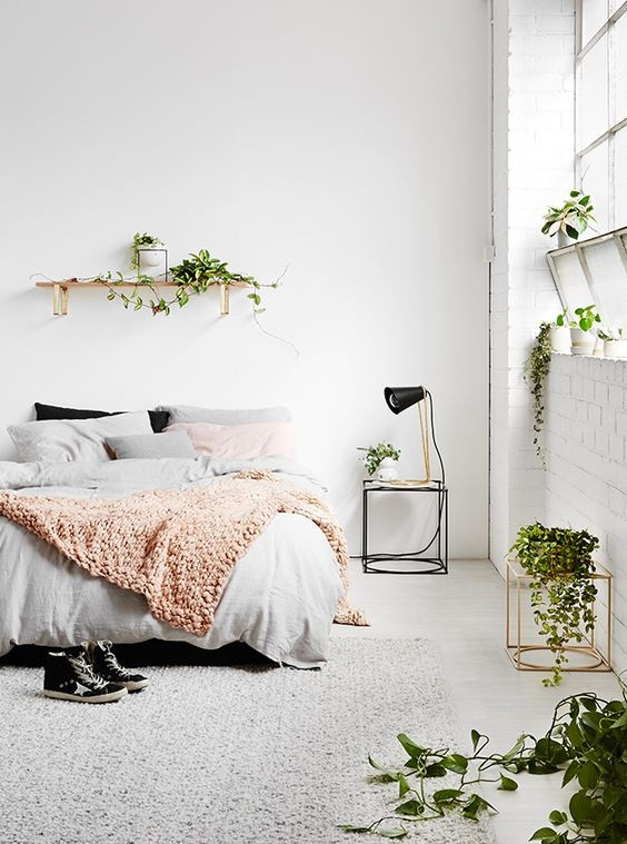 Những chậu cây trầu bà, cây sống đời được đặt trong phòng ngủ, vừa giúp căn phòng được thanh lọc không khí, vừa mang vẻ đẹp tươi tắn, mới mẻ cho không gian.