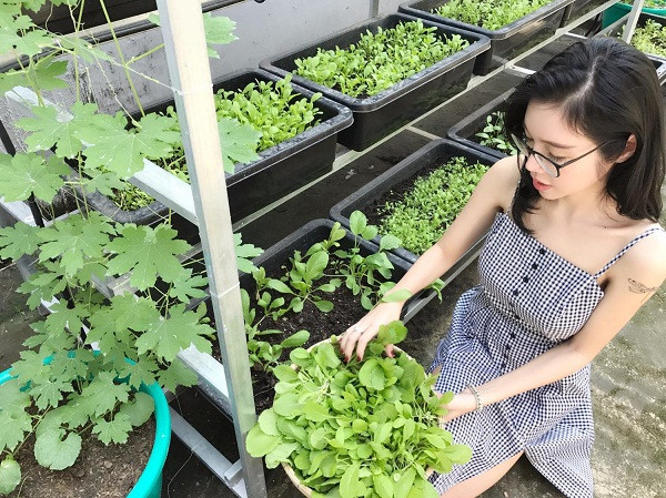 Trong khuôn viên sân thượng nhỏ, Elly Trần lắp đặt hệ thống giàn thép với hàng chục khay nhựa trồng rau sạch.