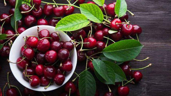 Cụ thể, anh đào có hương vị thơm ngon, thu hút các loại côn trùng và ruồi. Chúng có thể chui sâu vào bên trong, đục khoét trái anh đào mà không để lại dấu hiệu bất thường ở bên ngoài. Mua phải “ổ” vi khuẩn này, dù bạn có dùng nước sôi rửa cũng khó lòng làm sạch.