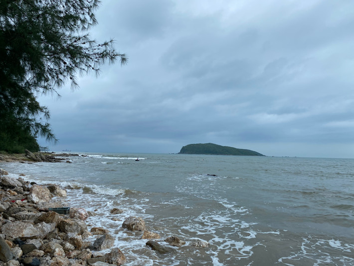 Biển Vũng Chùa - Đảo Yến nằm ở xã Quảng Đông, huyện Quảng Trạch (Quảng Bình) đang vào mùa cá đuối. Chiều 23/10, những người dân đang tranh thủ thời tiết thuận lợi buông lưới săn cá đối biển.