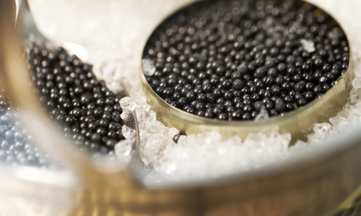 Muốn xác định trứng cá muối Caviar ngon, bạn hãy quan sát kỹ bên ngoài những viên trứng. Ảnh: kenh14cdn.