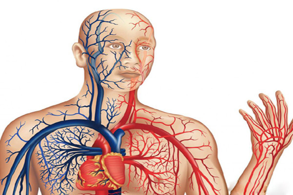 Theo Hội Chữ thập đỏ Hoa Kì, tại nước này, cứ 2 giây lại có một người cần đến máu, và cần đến hơn 41.000 người hiến máu mỗi ngày. Vì vậy, hiểu về loại chất lỏng duy trì sự sống này là rất quan trọng trong việc đảm bảo đủ lượng máu và giúp cơ thể bạn khỏe mạnh.